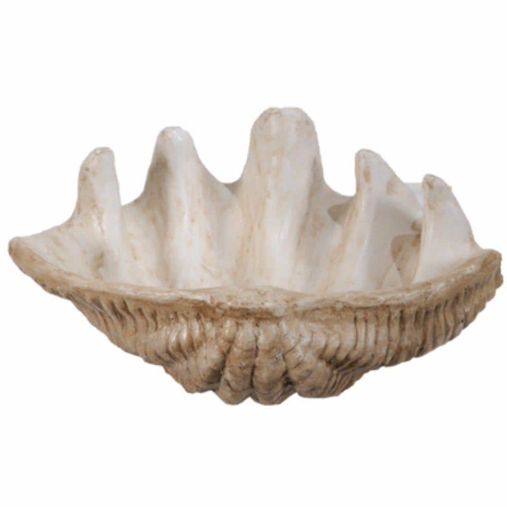 Benjara Medium White Clam Shell Accent BM145582 - The Home Depot