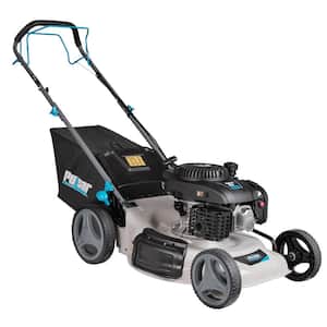 21 in. 200 cc Gas Recoil Start, Walk Behind Push Mower, Self-Propelled 3-in-1 with 7 Position Height Adjustment