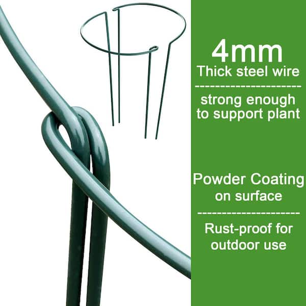 Unbranded - 15.8 in. Heavy-Duty Evergreen Peony Plant Support Stakes (6-Pack)