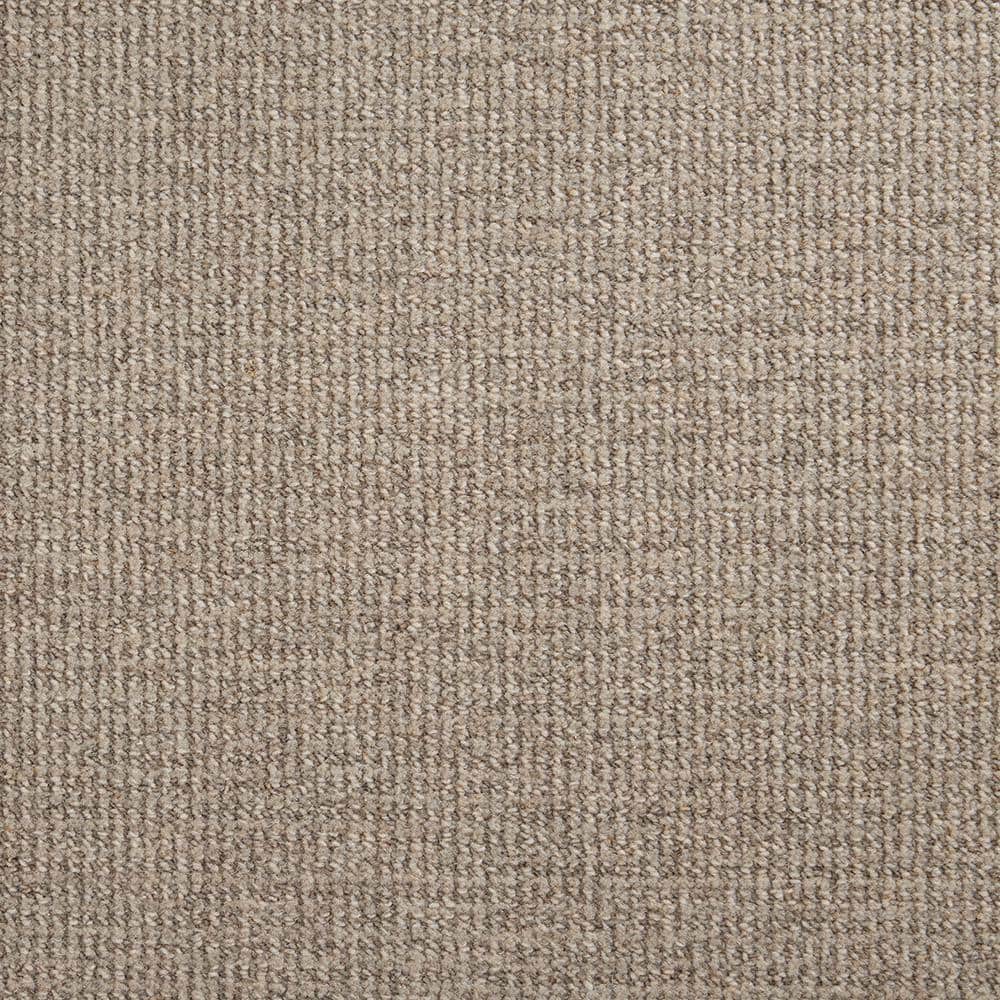 6 in. x 6 in. Loop Carpet Sample - Havasu - Color Ash price history on PriceWatchPro