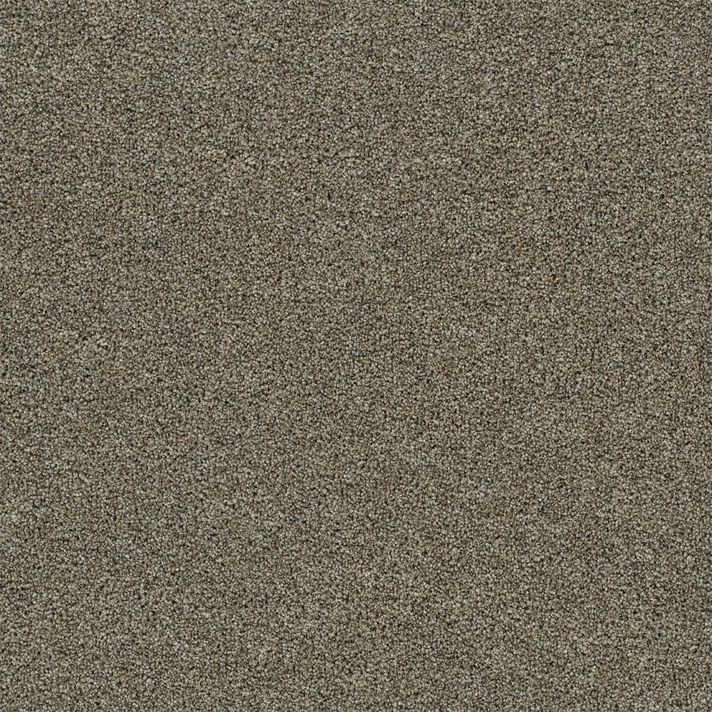 8 in. x 8 in. Texture Carpet Sample-Dewdrop III-Color Tender price history on PriceWatchPro