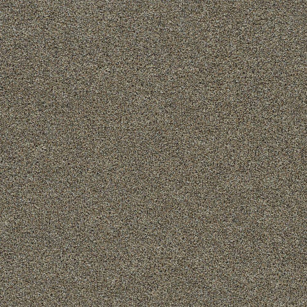 8 in. x 8 in. Texture Carpet Sample-Dewdrop I-Color Tender price history on PriceWatchPro