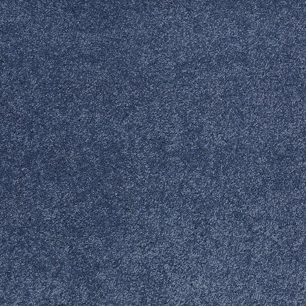 Lifeproof Coral Reef I - Waterslide - Blue 65.5 oz. Nylon Texture Installed Carpet