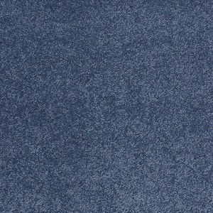Coral Reef II - Waterslide - Blue 93.6 oz. Nylon Texture Installed Carpet
