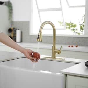 Single Handle Pull Down Sprayer Kitchen Faucet Commercial Kitchen Sink Faucets for RV, Laundry in Brushed Gold