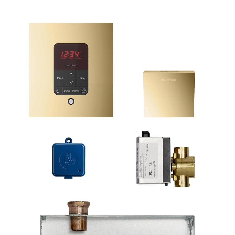 MS Butler Package with iTempo Pro Square Programmable Control for Steam Bath Generator in Polished Brass price history on PriceWatchPro