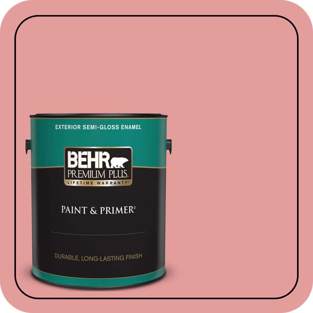 1 gal. #150D-4 Pale Berry Semi-Gloss Enamel Exterior Paint & Primer price history on PriceWatchPro