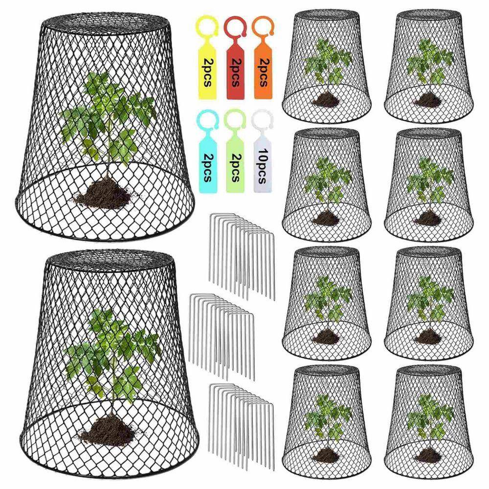 Wild Rabbit Nest Protector Angel Sar 9.13 in. H x 9.13 in. W Outdoor Animal Plant Protector Covers ...