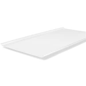 24 in. x 8 ft. x 0.118 in. Polycarbonate Roof Panel in White Opal