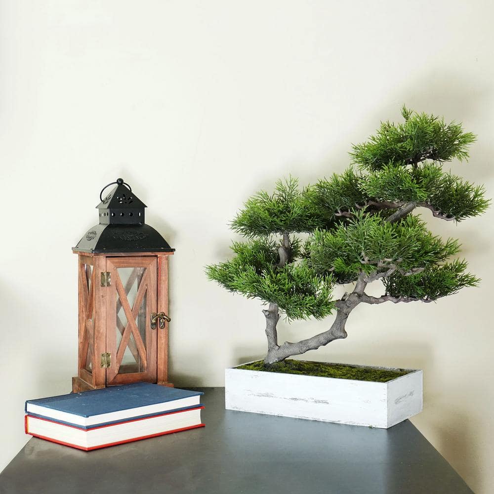 Green Plastic Japanese Bonsai Tree in White Planter Box