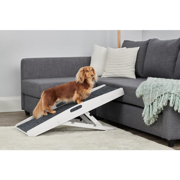 Inside dog ramp best sale