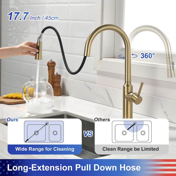 RAINLEX Single Handle Pull-Down Sprayer Kitchen Faucet in Brushed