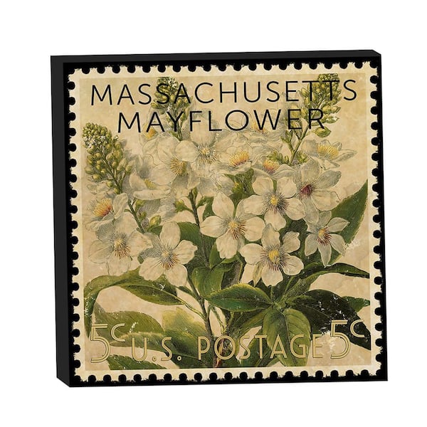 VENICE BEACH Collections Massachusetts State Flower Mayflower Postage Stamp by Grotto Studios Unframed Graphic Print Nature 20 in. x 20 in.