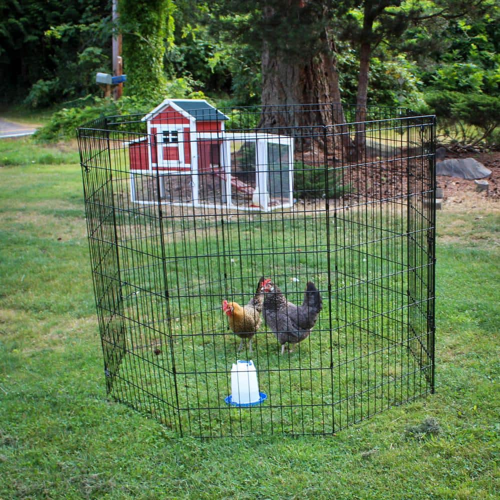 Lucky Dog 48" Black Metal Exercise Pen with Stakes