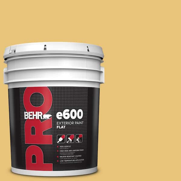 5 gal. #MQ4-13A Celebration Flat Exterior Paint