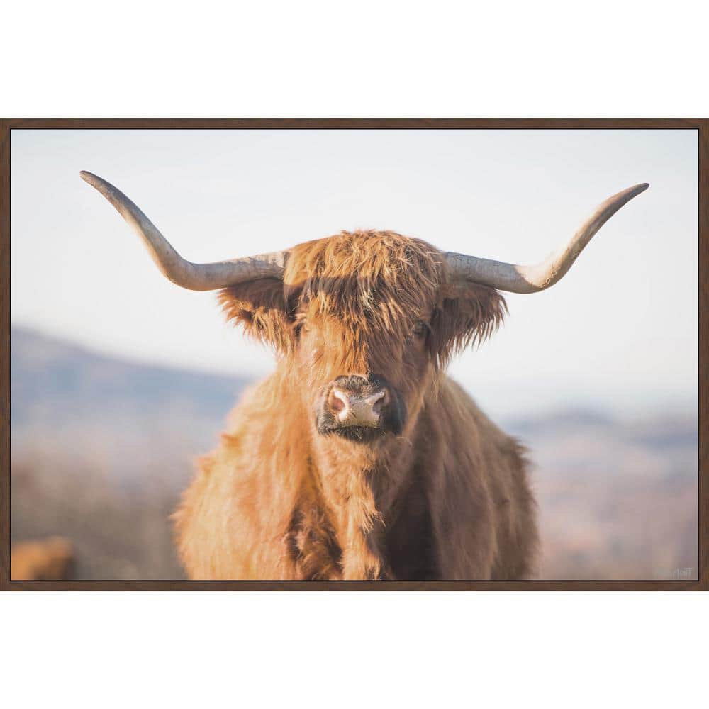 Highland Cow" by Marmont Hill Floater Framed Canvas Animal Art Print 16 in.  x 24 in. EXOANI-60DWFF24 The Home Depot