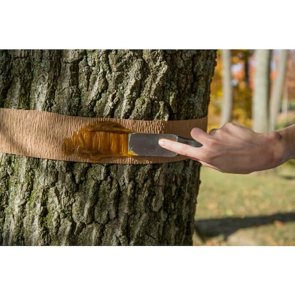What Is Tree Wrap Used For? - Garden Gate Guides