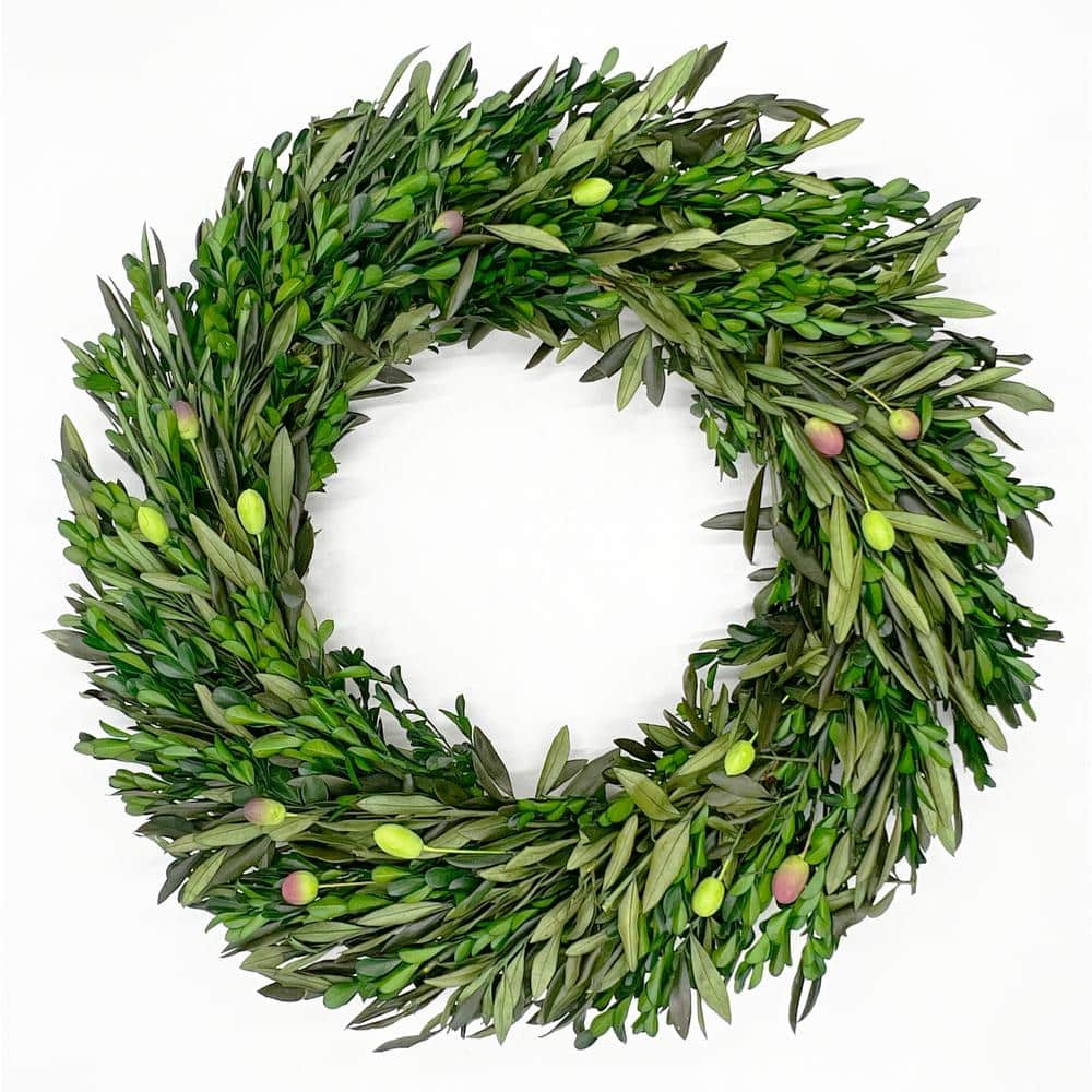 castellousa 21 in. Artificial Olive with Preserved Boxwood Leaf and ...