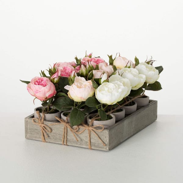 SULLIVANS 6 in. Artificial Potted Rose Crate Of 12