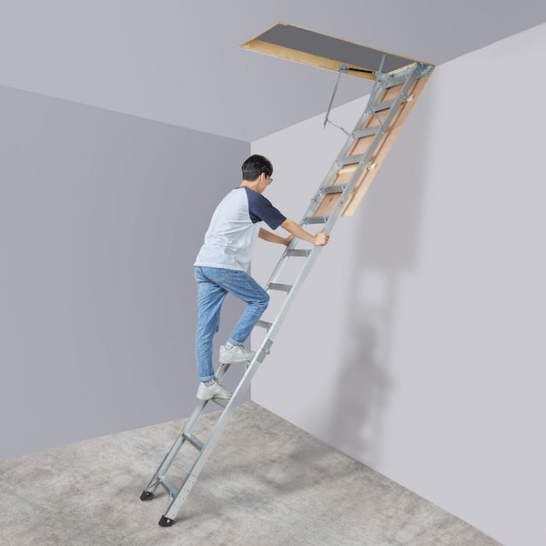 Attic Ladder of 12 Step Standard 22.05 in. W Aluminum Dock Ladder Extension 350-lbs. Capacity