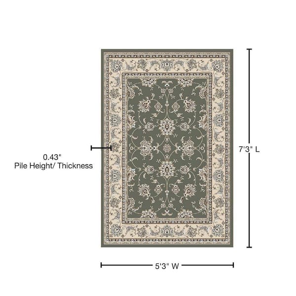 Pisa Light Green 5 ft. x 7 ft. Traditional Oriental Floral Scroll Area Rug