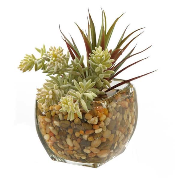6 in. Indoor Yucca Succulent Artificial Plant in Glass Cube-Stylish Faux Greenery for Shelf, Desk, or Countertop
