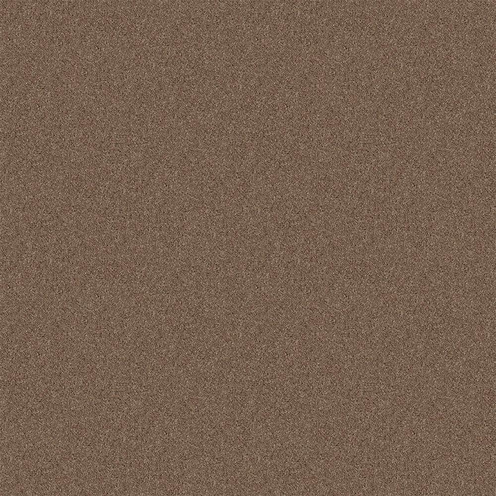 TrafficMaster Watercolors I - Briar Patch - Brown 28.8 oz. Polyester  Texture Installed Carpet HDD9547792 - The Home Depot