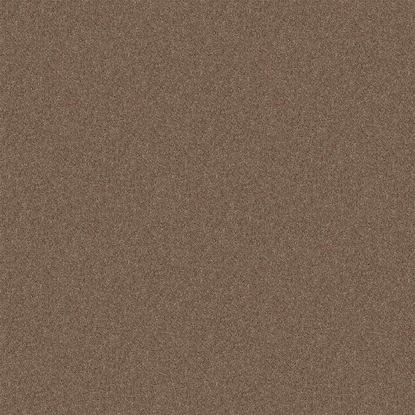 TrafficMaster Watercolors I - Briar Patch - Brown 28.8 oz. Polyester Texture Installed Carpet