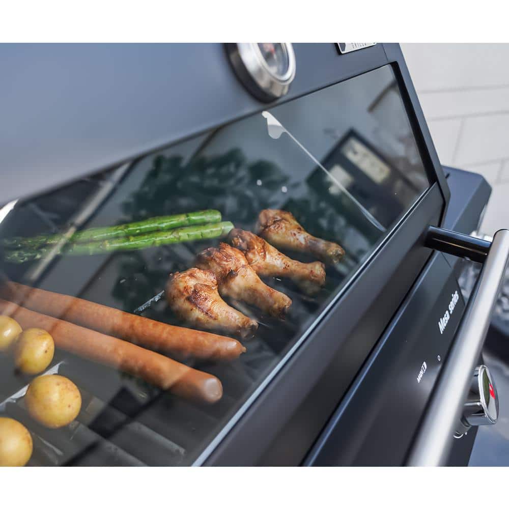 Mesa Black Stainless Steel 3-Burner Propane Gas Grill with Side Burner