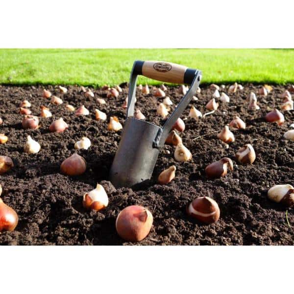 British Style Carbon Steel Bulb Planter with Ash Wood Handle