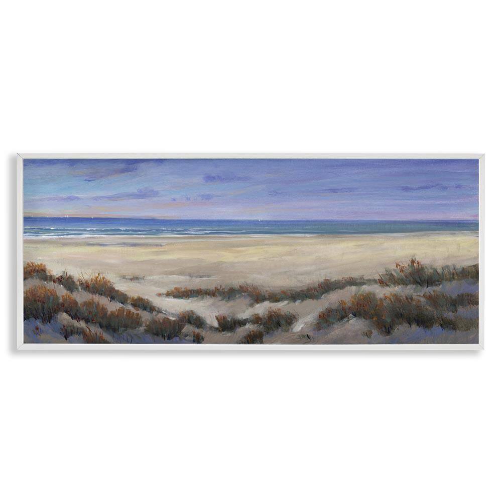 Traditional Grassy Beach by Regina Moore White Framed Coastal Giclee Art Print 13 in. x 30 in. price history on PriceWatchPro