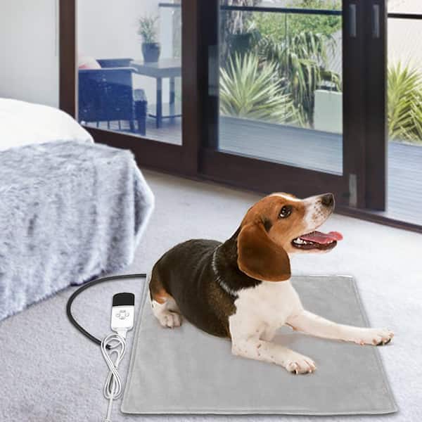 https://images.thdstatic.com/productImages/abcb10b0-897a-4f49-a157-be8ec743859f/svn/gray-dog-beds-h-d0102hsiu7y-c3_600.jpg
