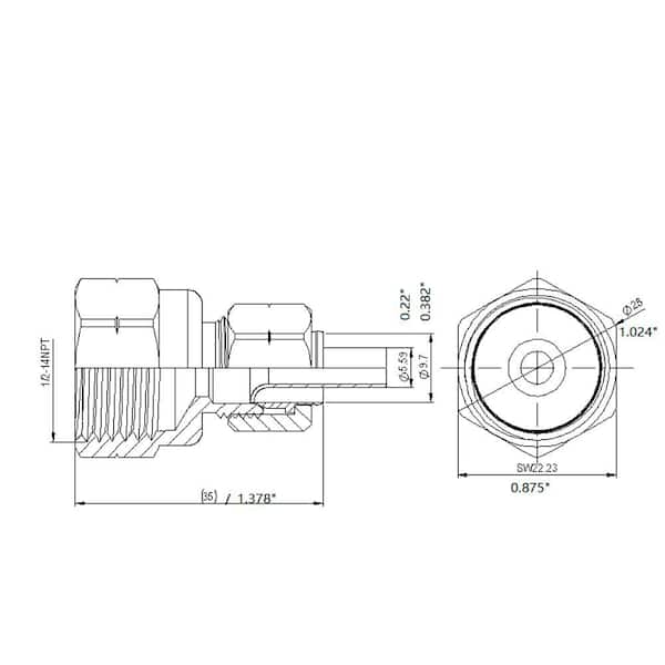 3/8 in. OD Compression x 1/2 in. FIP Brass Adapter Fitting