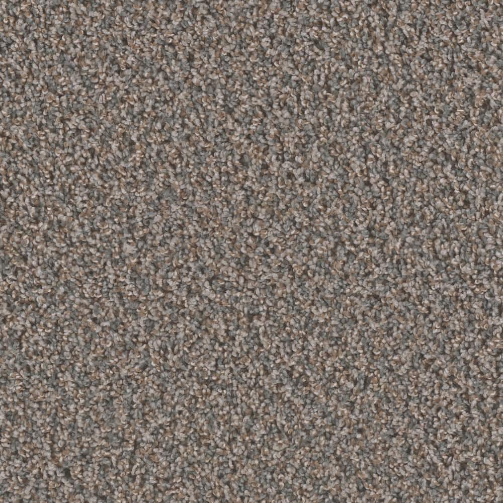 8 in. x  8 in. Texture Carpet Sample - Dream Wish -Color Focus price history on PriceWatchPro