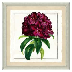 26 in. x 26 in. "Passionate Bloom" Framed Archival Paper Wall Art