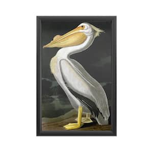 "American White Pelican" by John James Audubon Framed with LED Light Animal Wall Art 24 in. x 16 in.