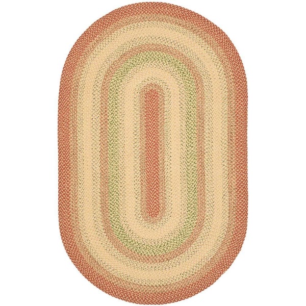 SAFAVIEH Braided Rust/Multi 6 ft. x 9 ft. Oval Border Area Rug