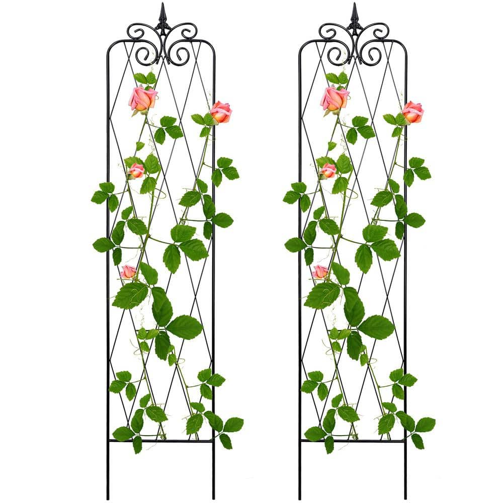 71 in. Black Garden Trellis for Climbing Plants (2-Pack) NYSC712P - The ...