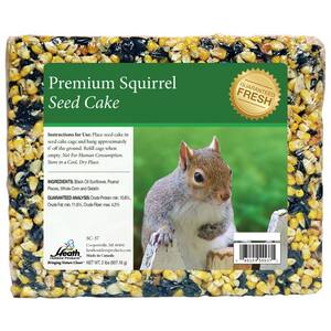 Premium Squirrel Seed Cake - 2 lbs. - 8-Pack