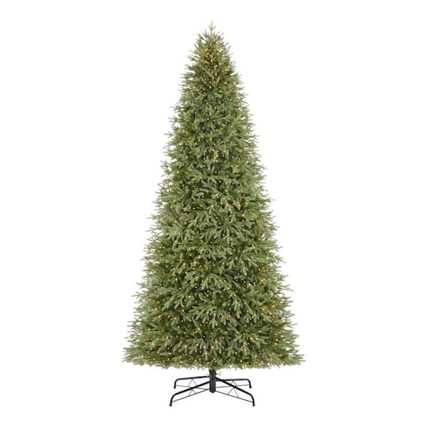12 ft. Jackson Noble Fir LED Pre-Lit Artificial Christmas Tree