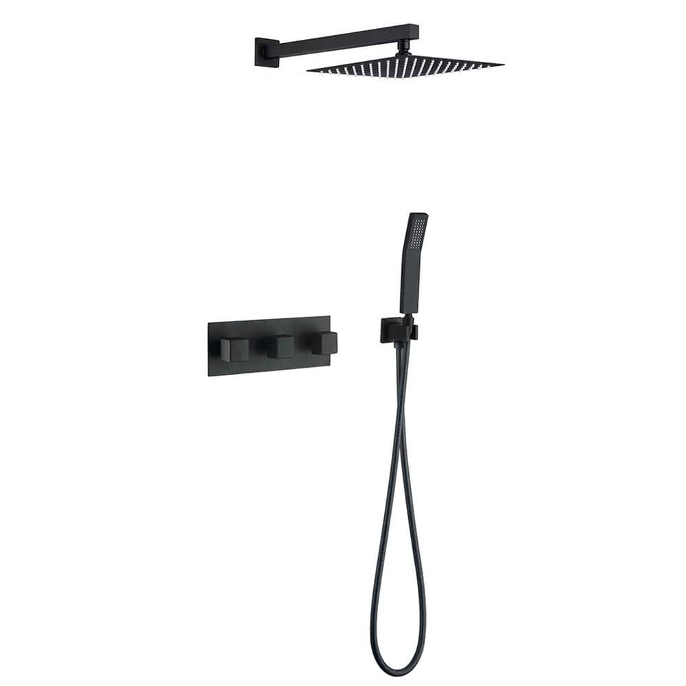 Double Handle 2-Spray 10 in. Shower Faucet 1.8 GPM with High Pressure in Ma