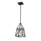1-Light Matte Black and Olde Brass Mini-Pendant