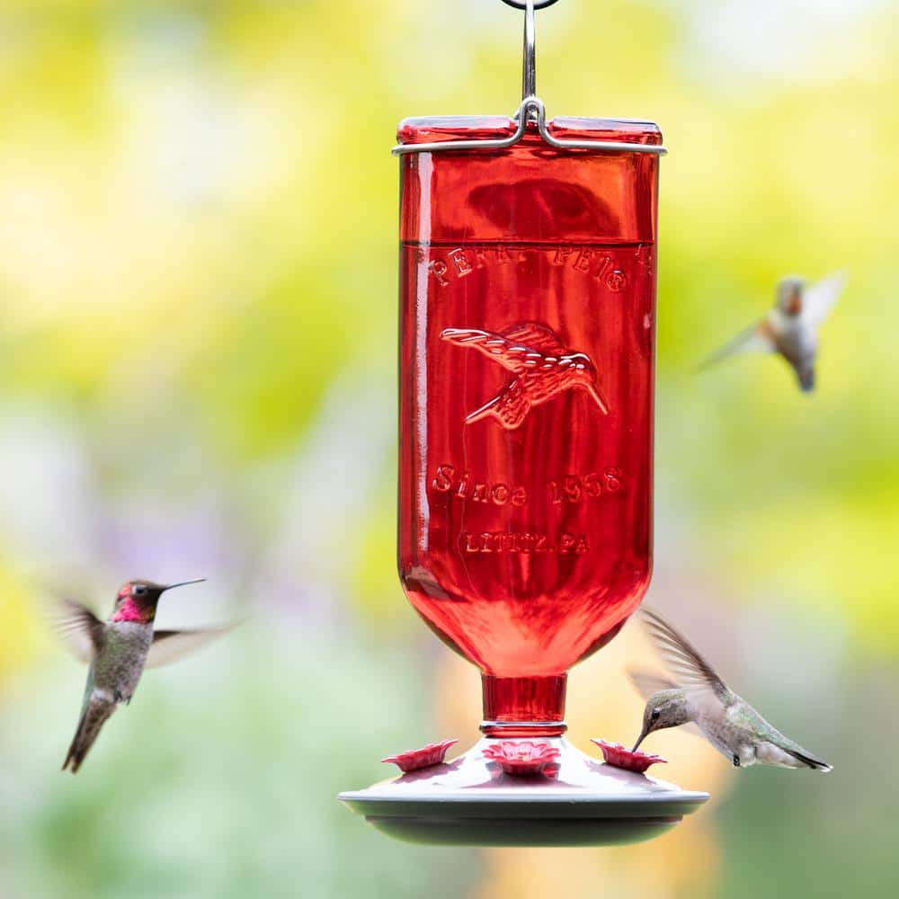Red Antique Hanging Glass Hummingbird Feeder with Metal Accents