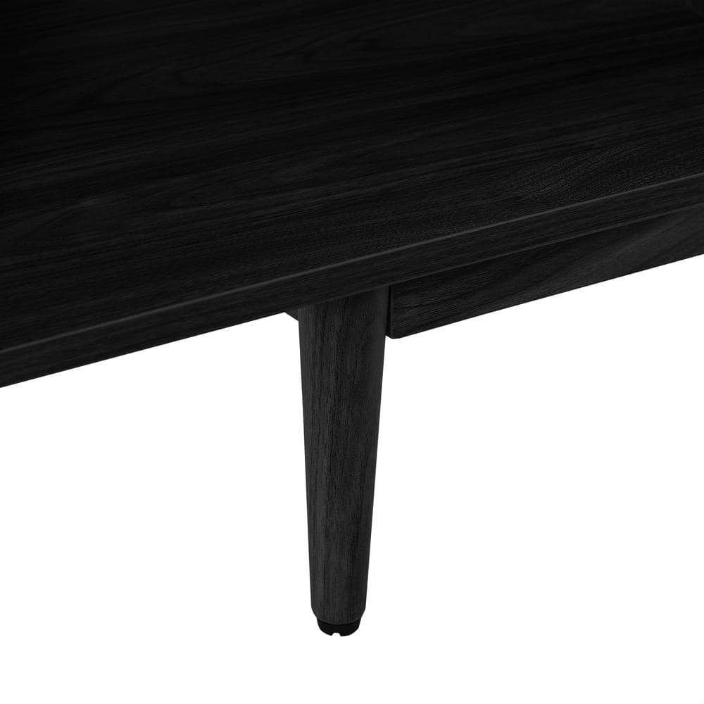 Liam Mid-Century Modern Black Vinyl Record Storage Console