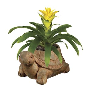 Small Rust Cement Turtle Planter