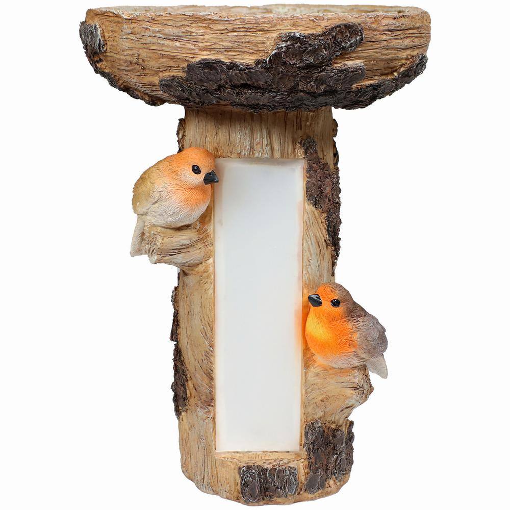 Rustic Brown Polyresin Tree Stump Bird Bath with Solar LED Address Plate