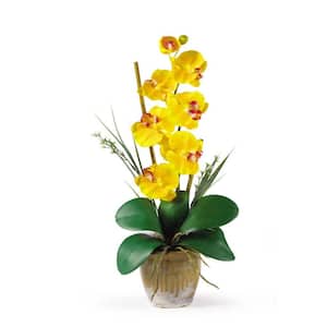 21 in. Artificial Single Stem Phalaenopsis Silk Orchid Flower Arrangement