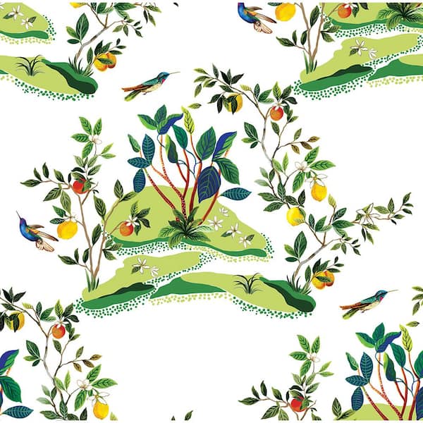 Seabrook Designs White Citrus Hummingbird Unpasted Nonwoven Paper Wallpaper Roll 60.75 sq. ft.