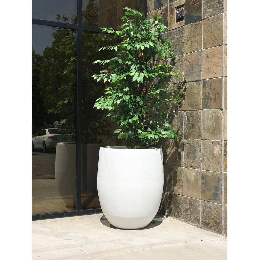 Large White Concrete Round Indoor/Outdoor Planter with Drainage Holes