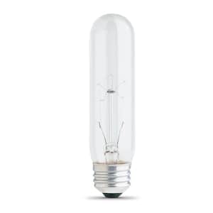 25-Watt Soft White (2700K) T10 Dimmable E26 Base Incandescent Light Bulb